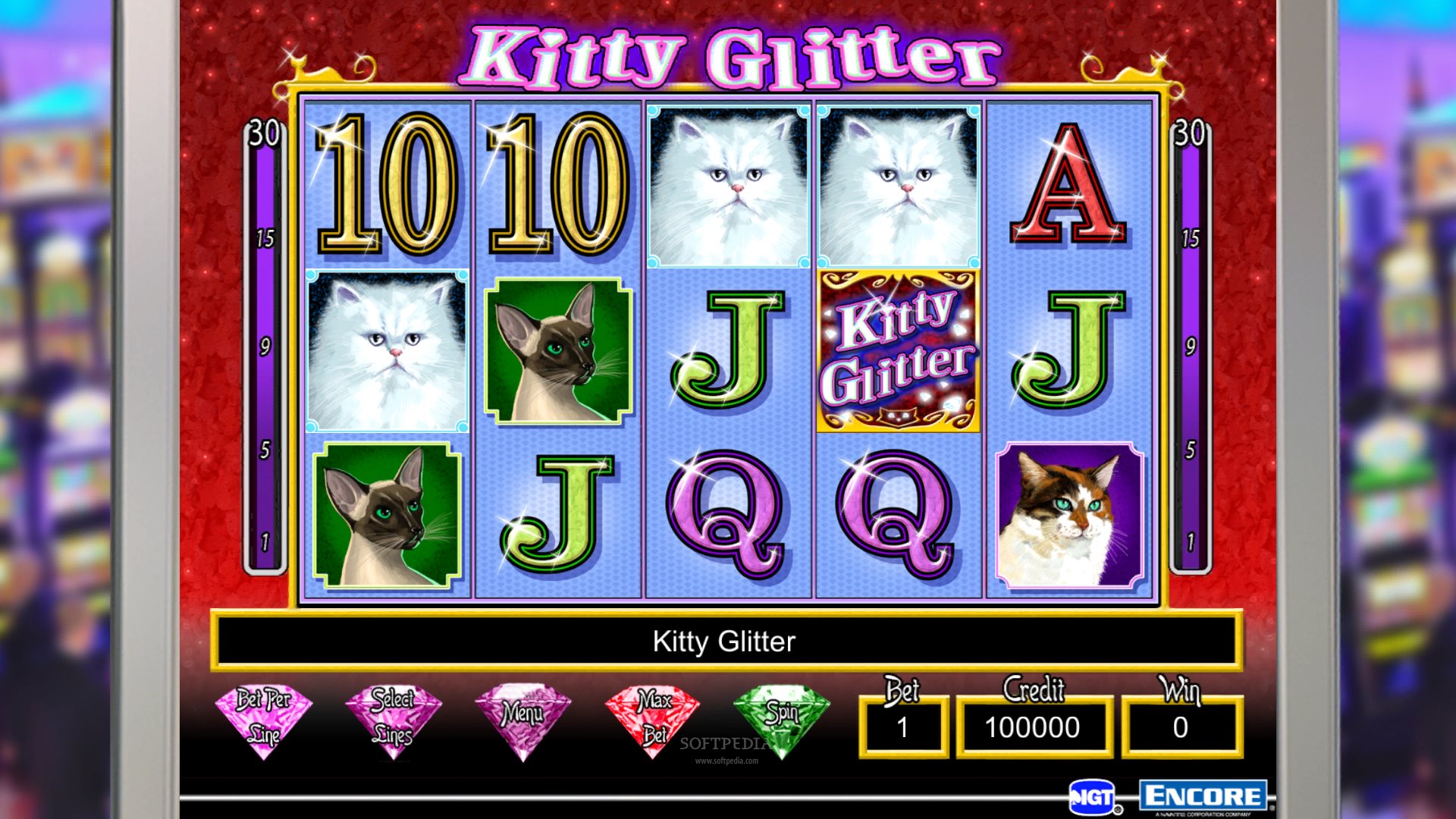 Kitty glitter band